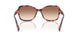 623913 - Violet - Gradient Brown