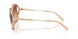 556178 - Brown - Maroon Canary