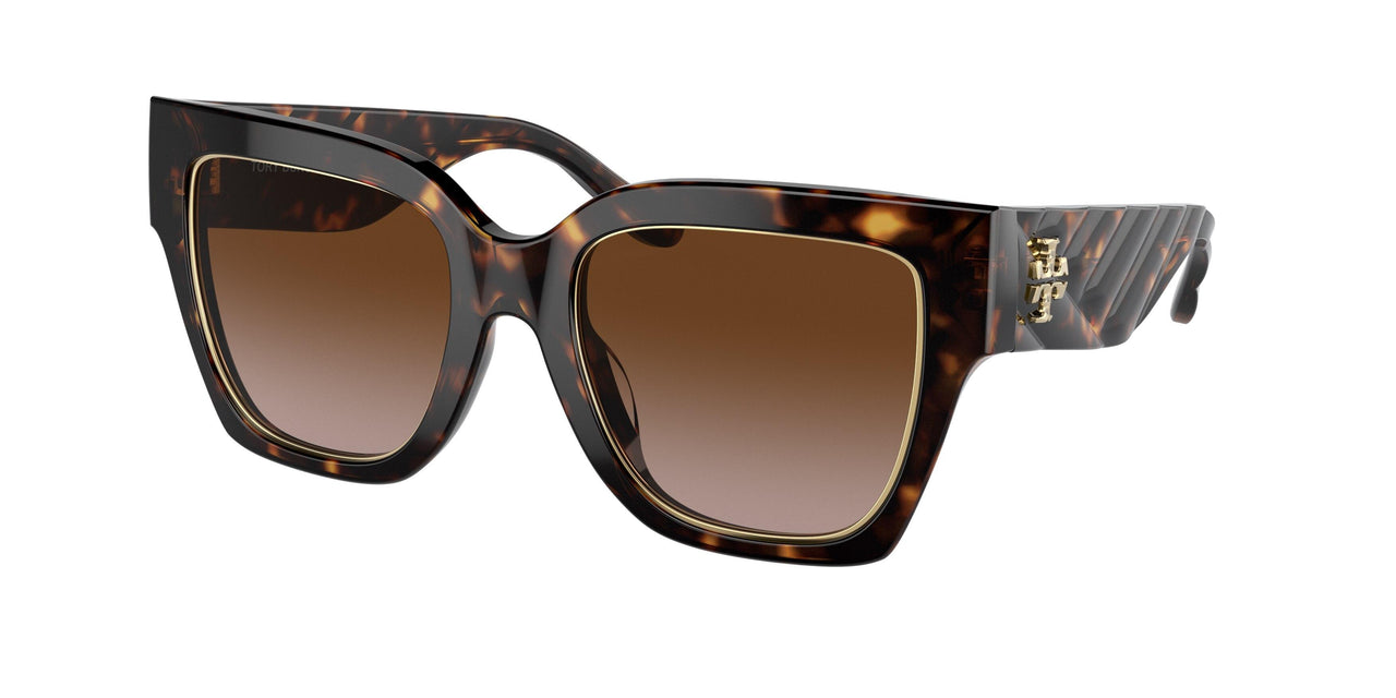 172813 - Havana - Brown Gradient