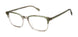 Cruz KINGSLEY DR Eyeglasses
