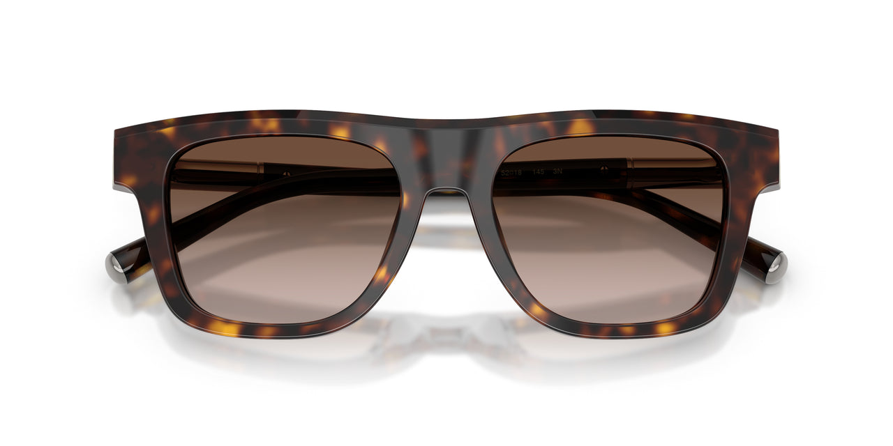 502/13 - Tortoise - Gradient Brown