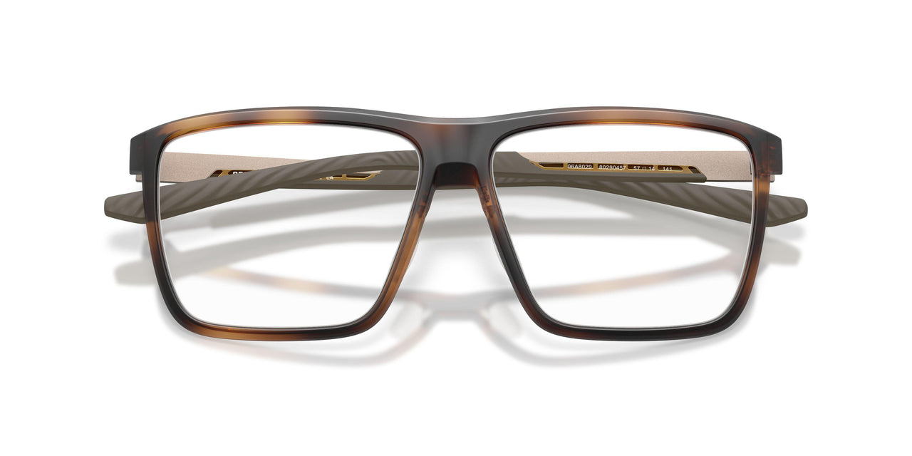 802904 - Tortoise