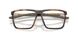 802904 - Tortoise