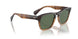 13929A - Brown - G-15 Polarized