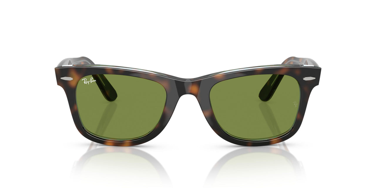 14134E - Tortoise - Green