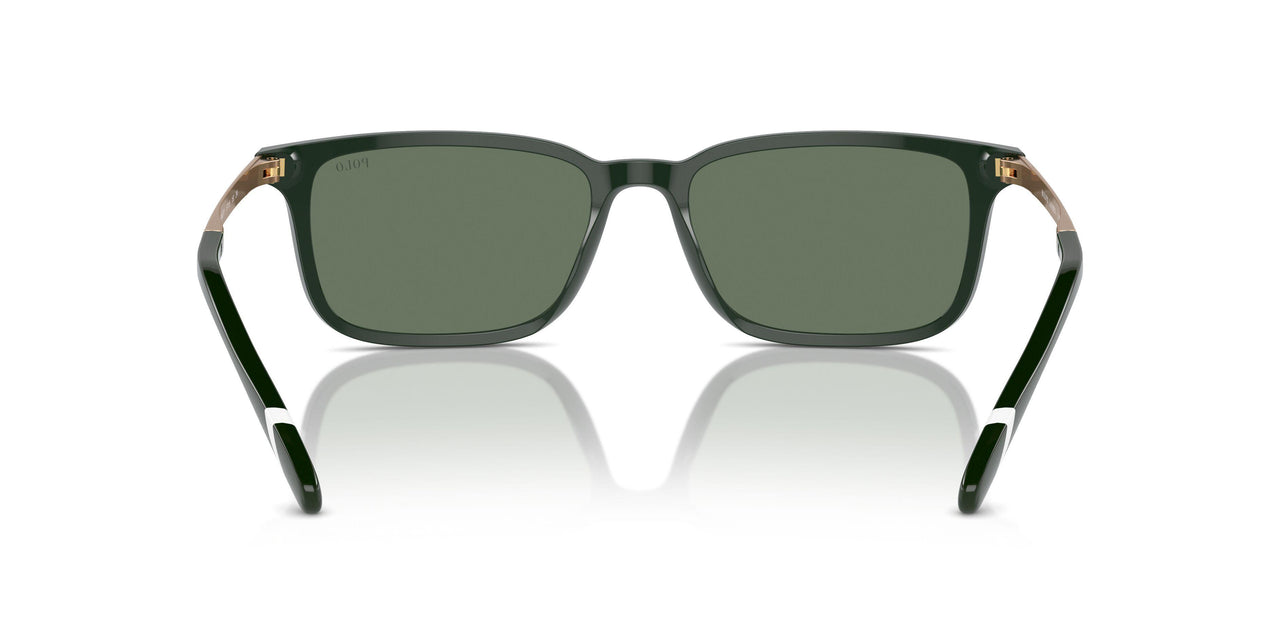 614071 - Green - Green