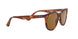 954/33 - Havana - Brown