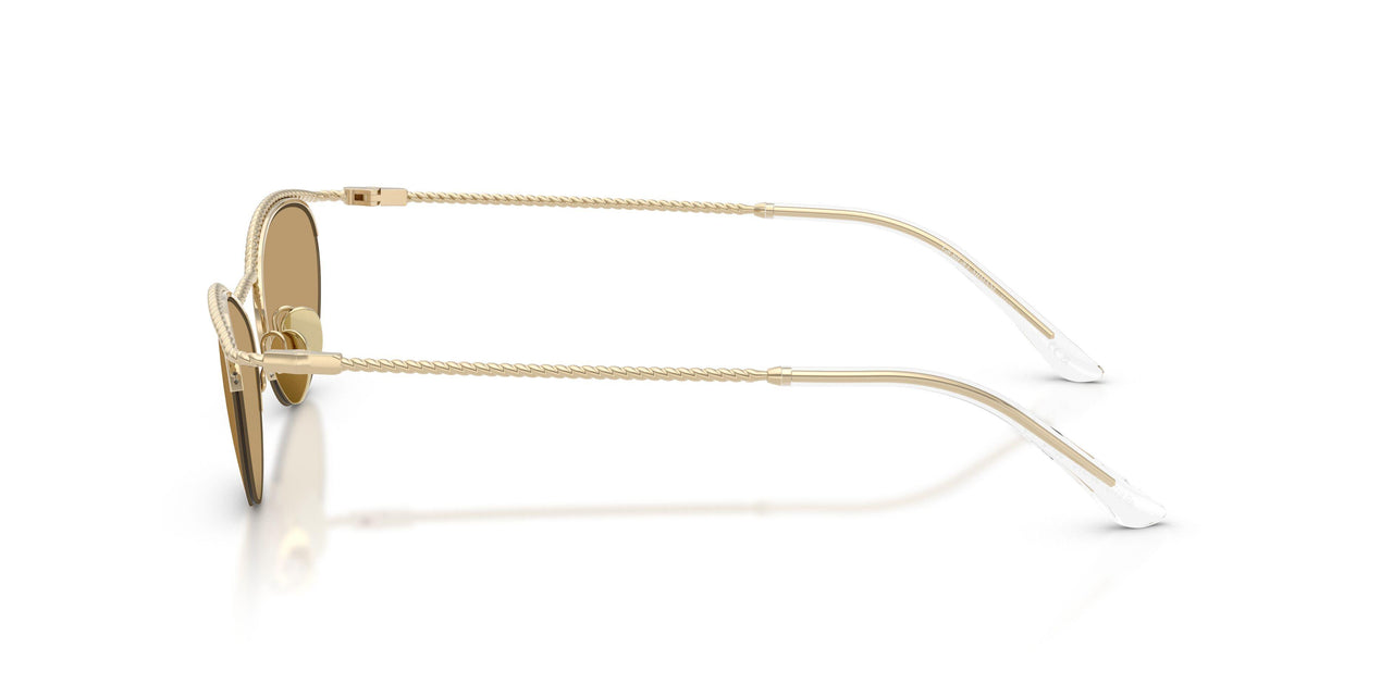 301373 - Gold - Brown