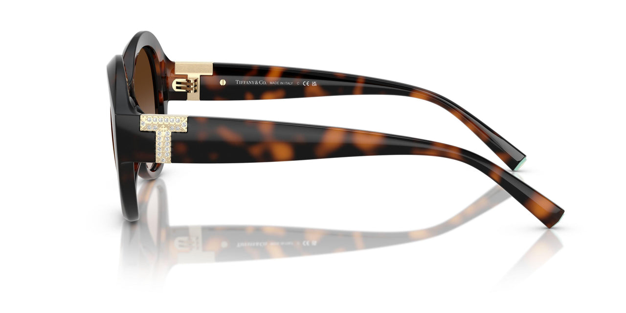 80153B - Tortoise - Brown Gradient