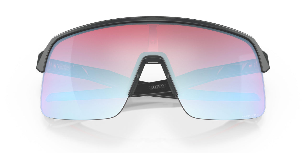 946317 - Black - Prizm Snow Sapphire