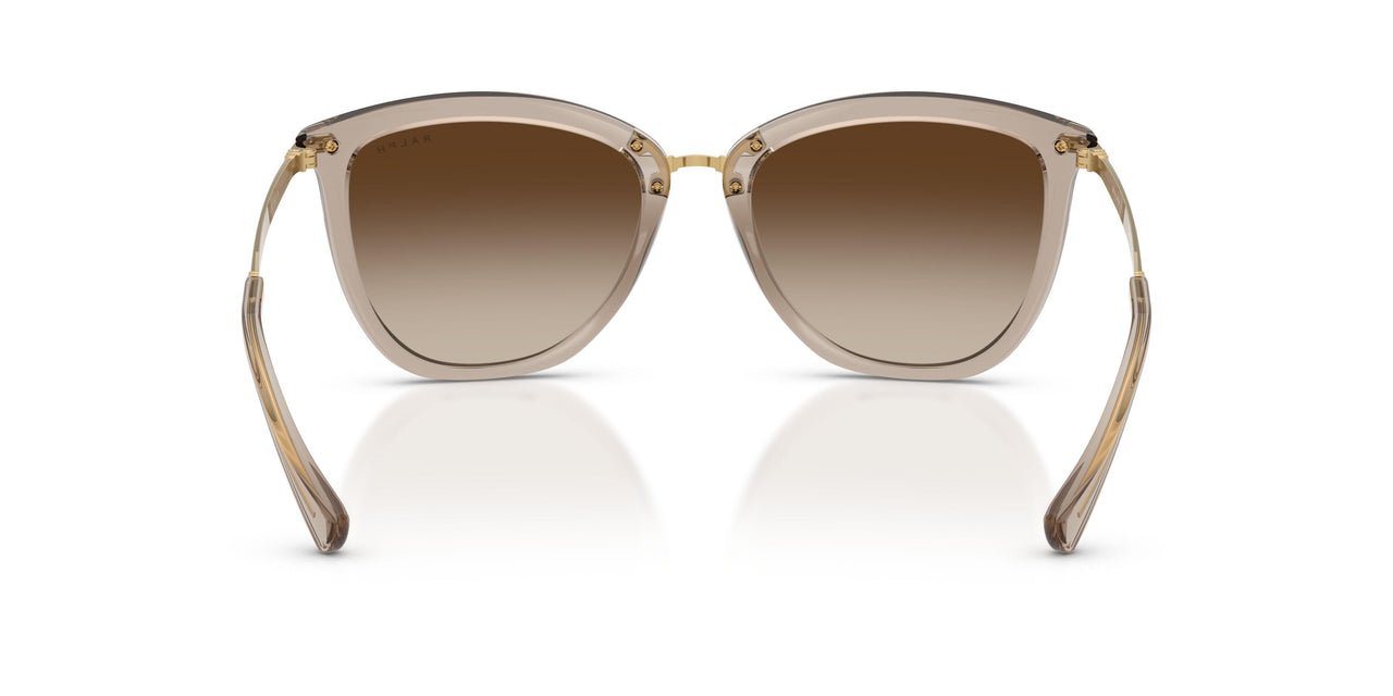 580213 - Brown - Gradient Brown
