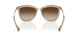 580213 - Brown - Gradient Brown