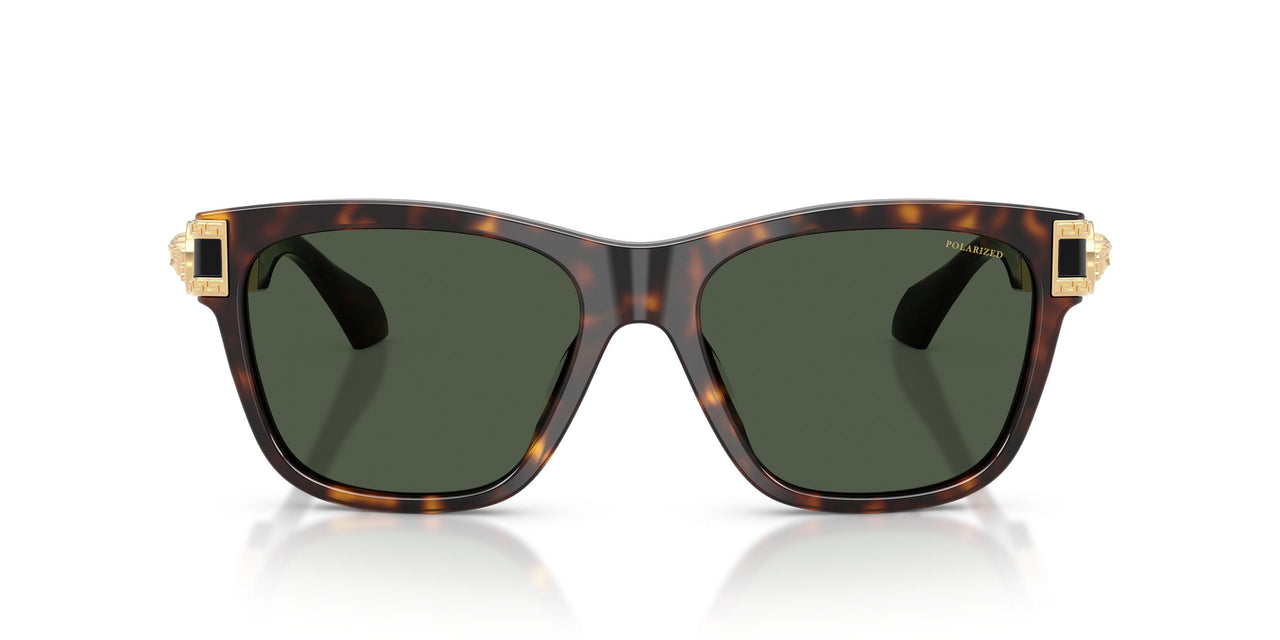 108/9A - Brown - Dark Green Polarized