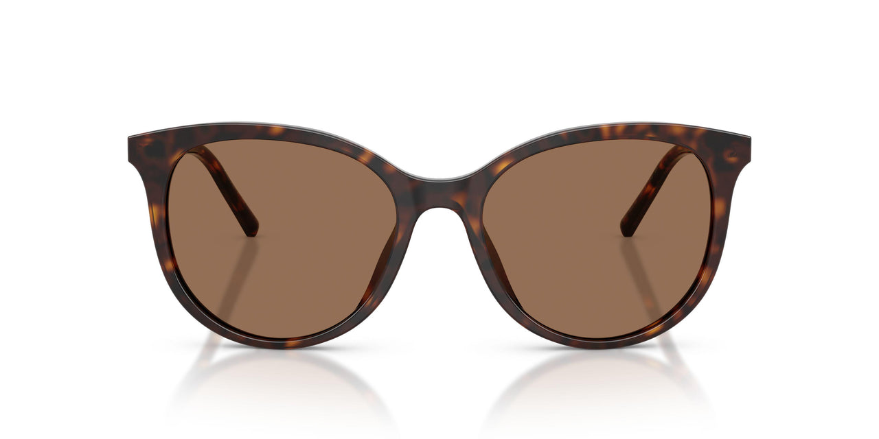 502/13 - Tortoise - Dark Brown