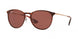 Ray-Ban Erika Metal 3539 Sunglasses