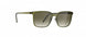 5530 - DEEP NATURE - Olive Green Gradient