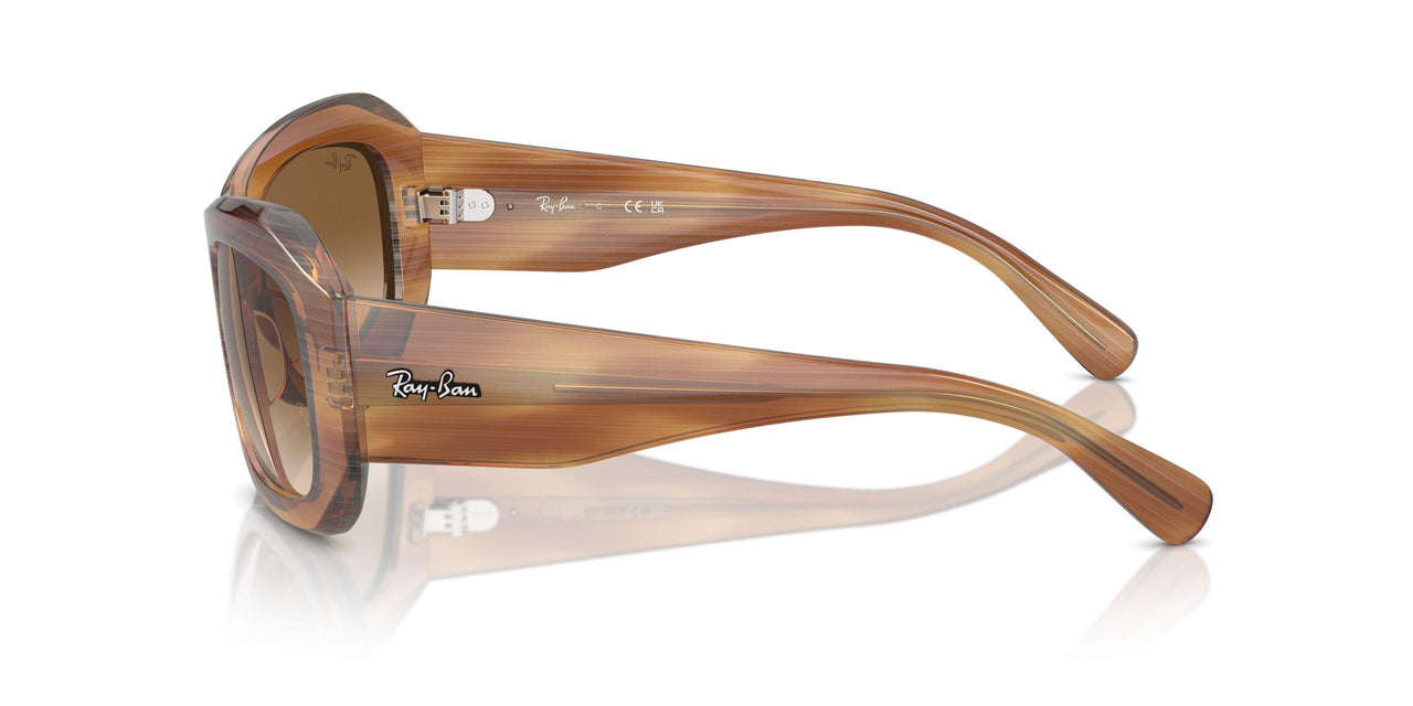 140351 - Tortoise - Clear & Brown