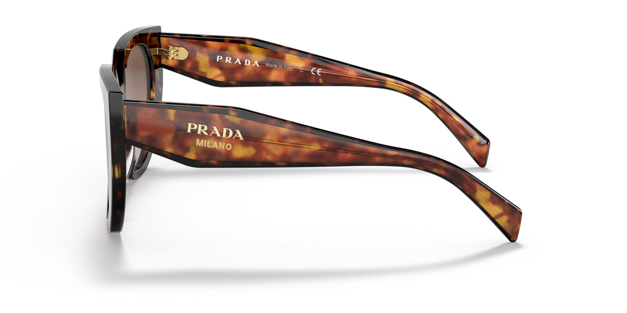 2AU6S1 - Havana - Brown Gradient