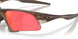 953210 - Brown - Prizm Trail Torch