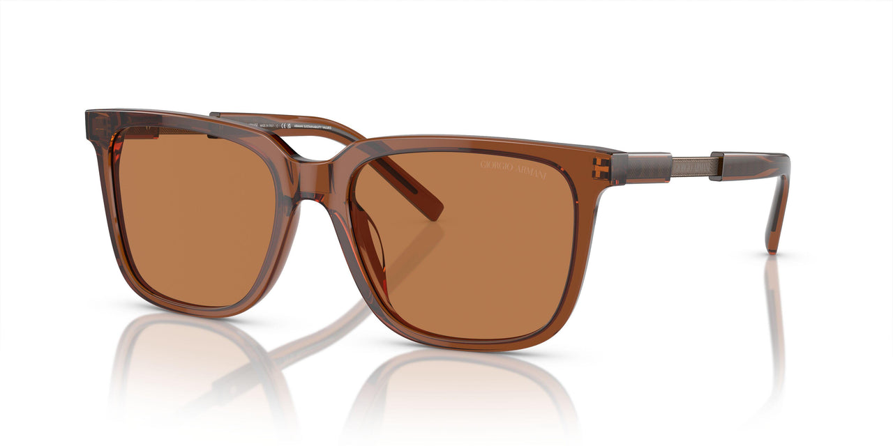 604973 - Brown - Brown
