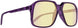 SpyOptic 180000 Eyeglasses