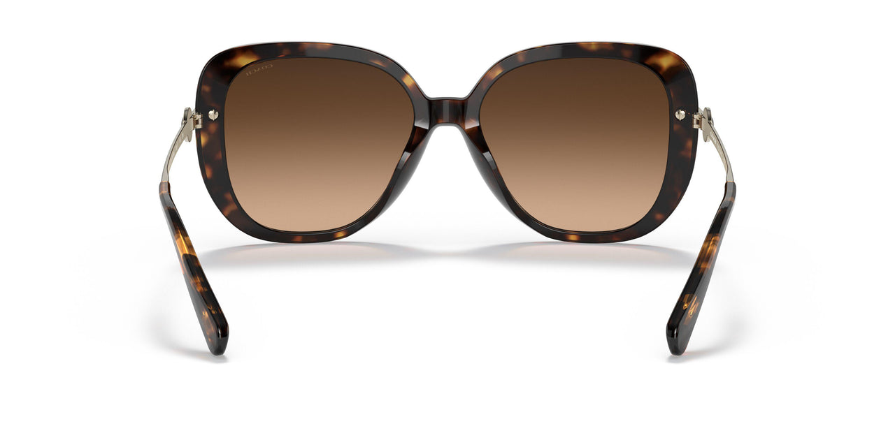 512074 - Havana - Dark Brown Gradient