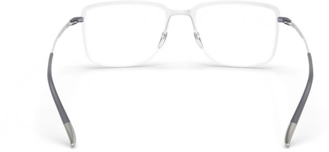 7000 - silver