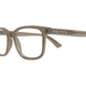 011 - Brown - Transparent