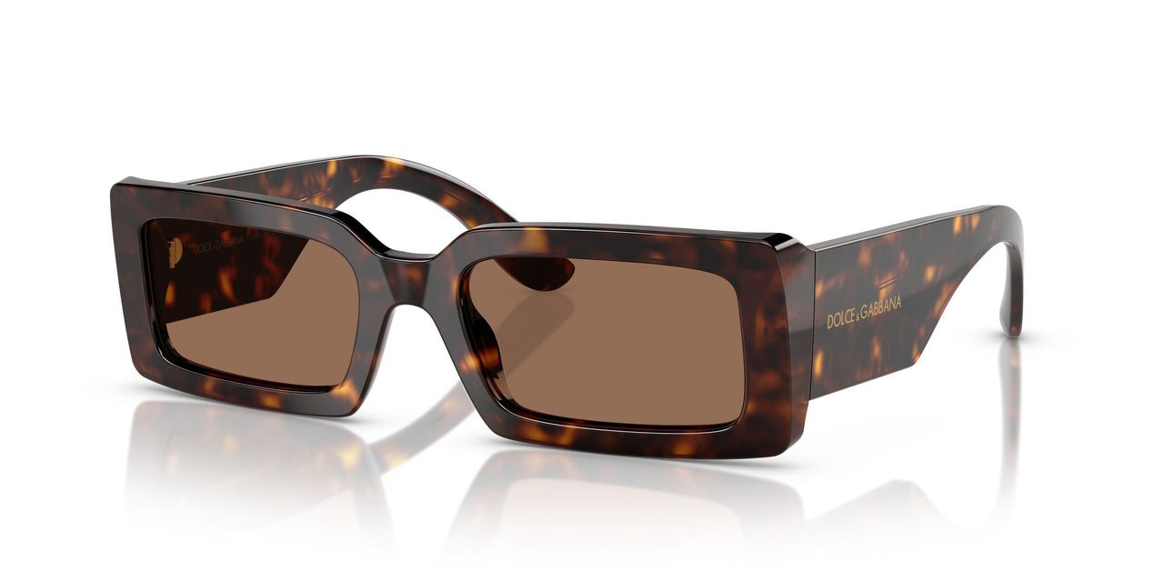 193573 - Tortoise - Dark Brown