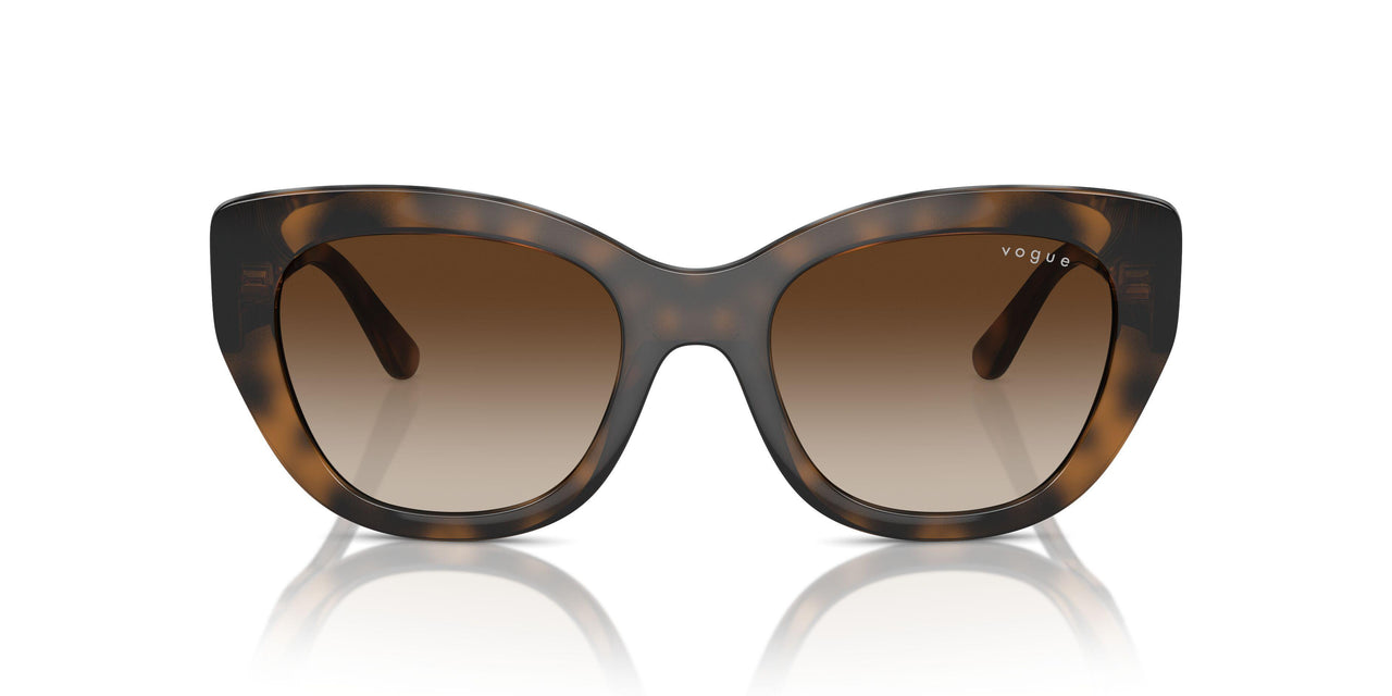 238613 - Brown - Gradient Brown
