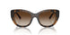 238613 - Brown - Gradient Brown