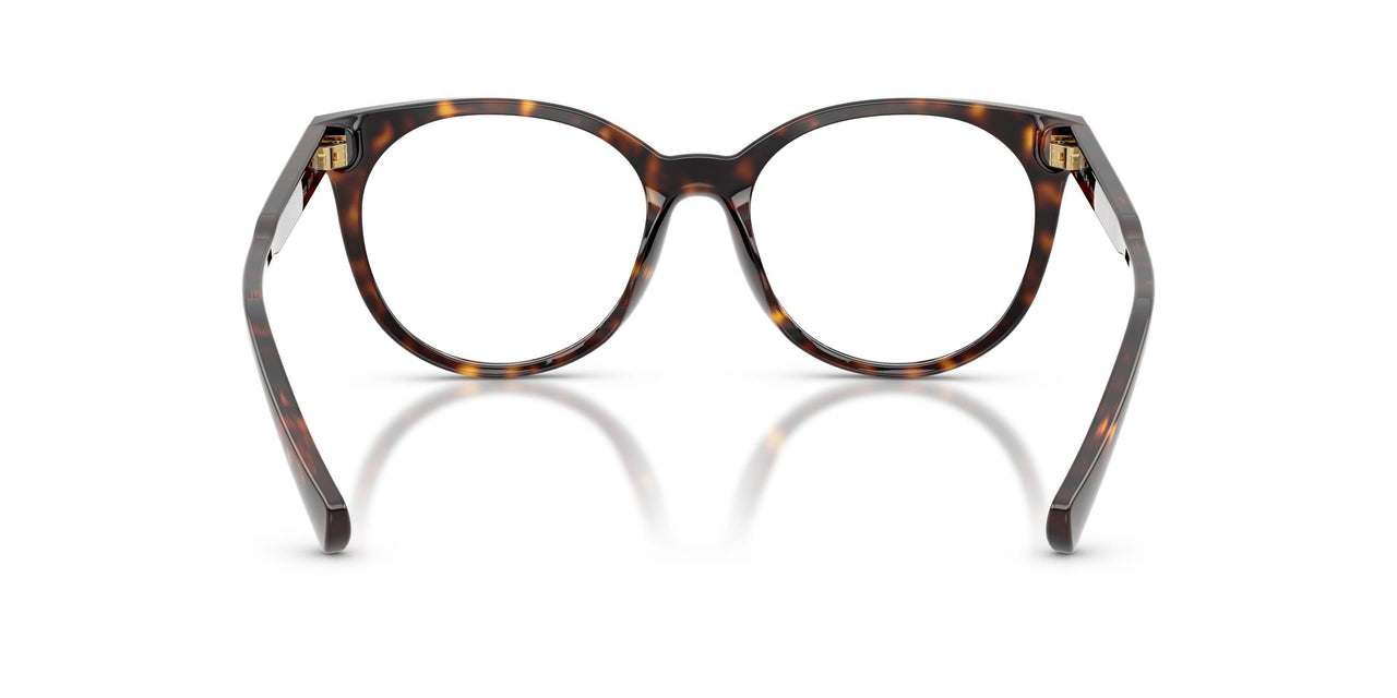 5003 - Tortoise