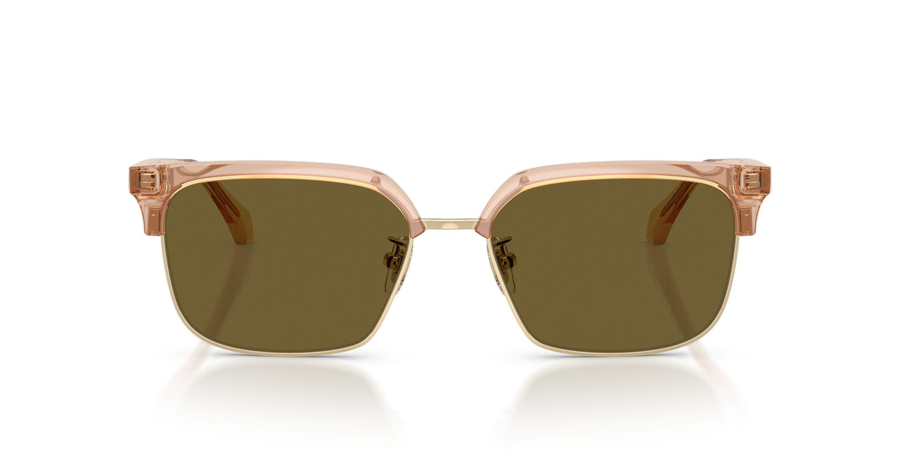 551883 - Brown - Dark Brown