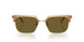 551883 - Brown - Dark Brown