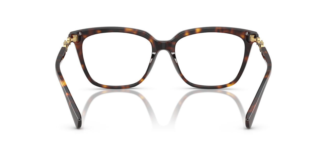 5026 - Tortoise