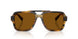306363 - Tortoise - Brown