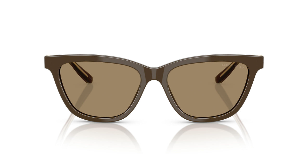 595753 - Brown - Brown