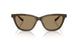 595753 - Brown - Brown