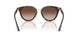 612413 - Tortoise - Brown Gradient
