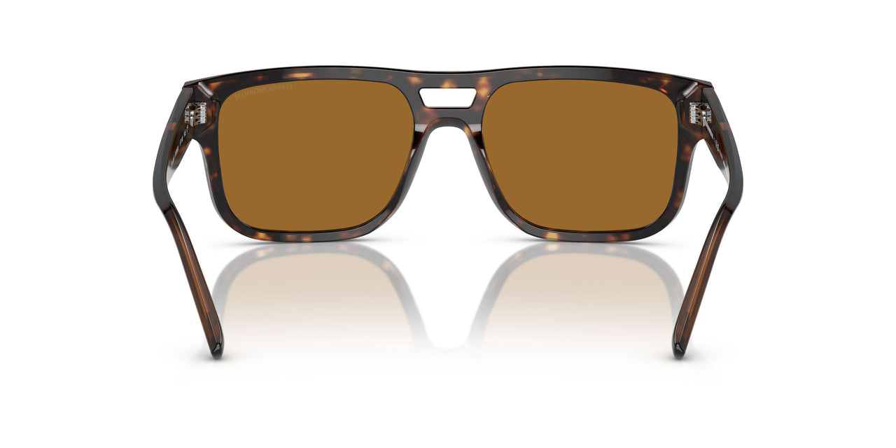 587983 - Tortoise - Brown Polarized
