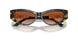 547013 - Tortoise - Brown Gradient