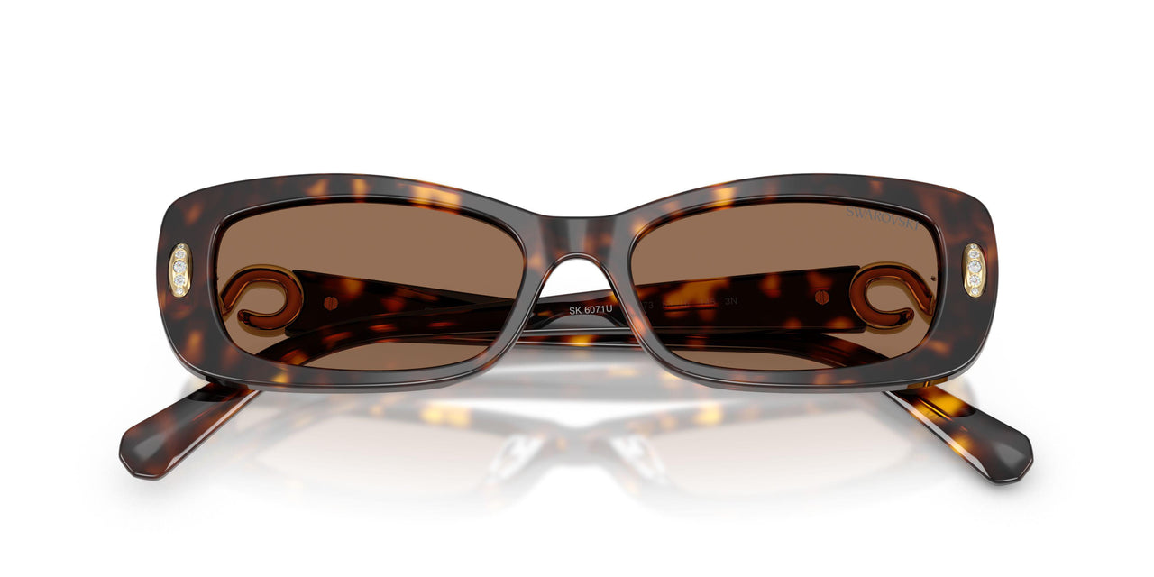 100273 - Tortoise - Dark Brown