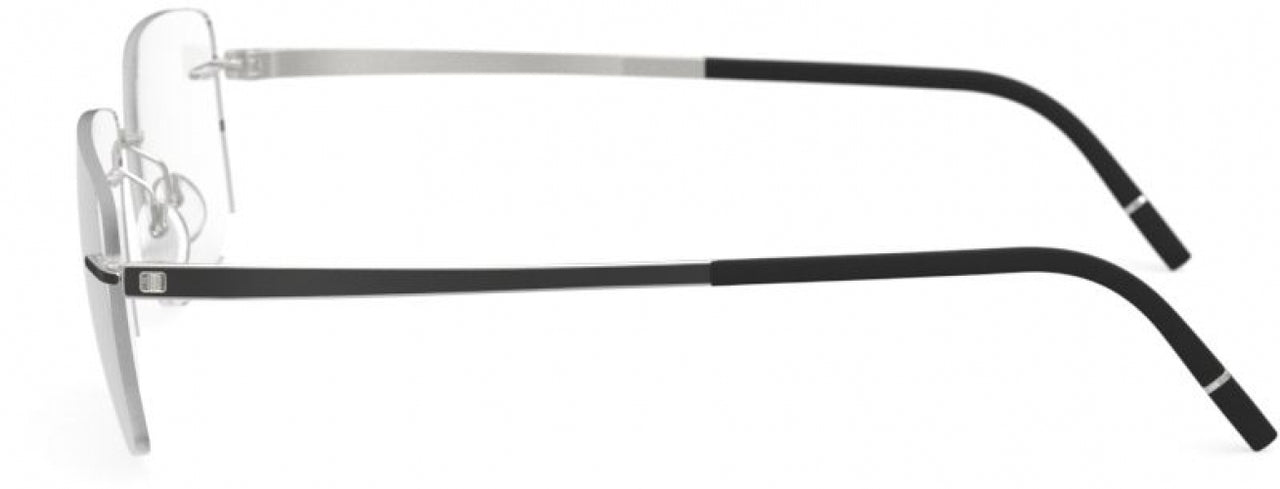 9010 - Titanium / Iceland Black