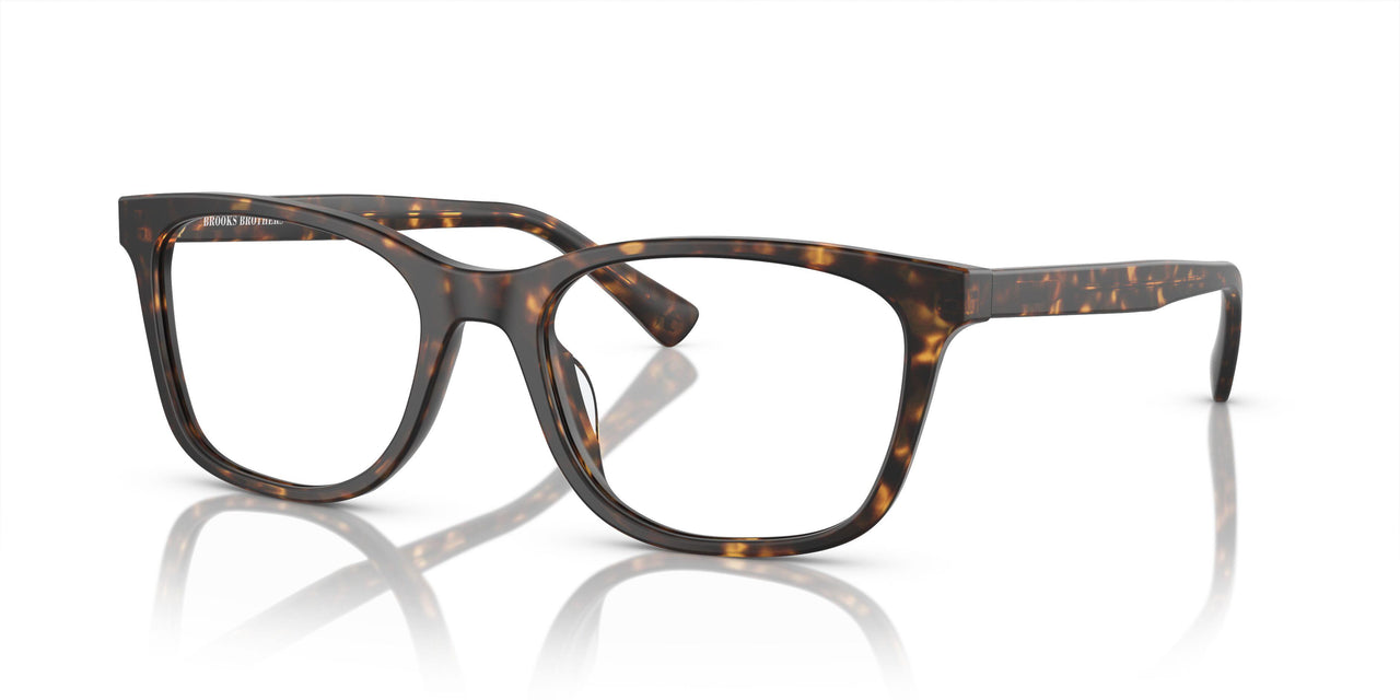 6161 - Tortoise