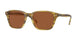 616473 - Green - Brown Solid