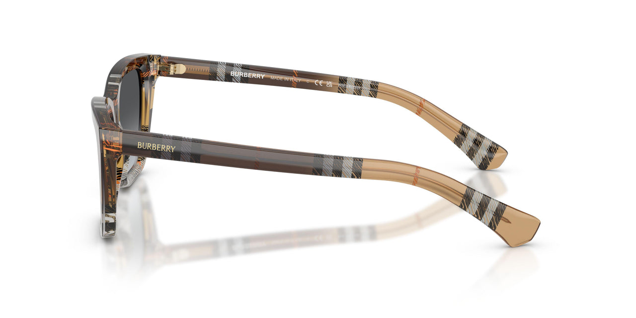 4202T3 - Brown - Gradient Grey Polar