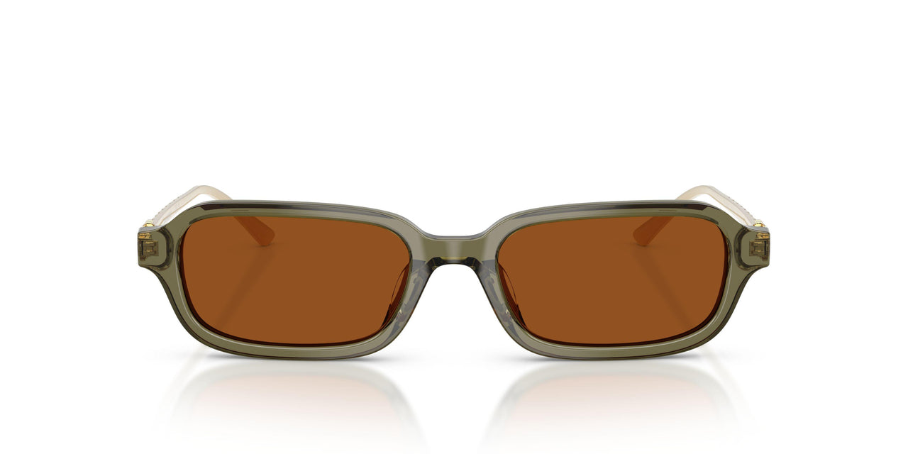 208573 - Green - Solid Brown