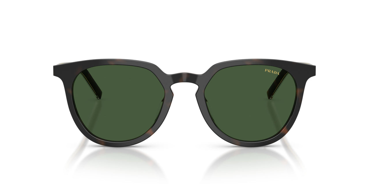 20P40P - Tortoise - Green
