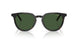 20P40P - Tortoise - Green