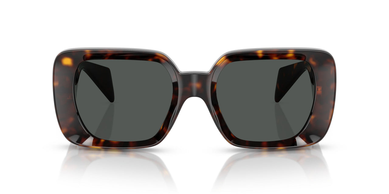 108/87 - Tortoise - Dark Grey